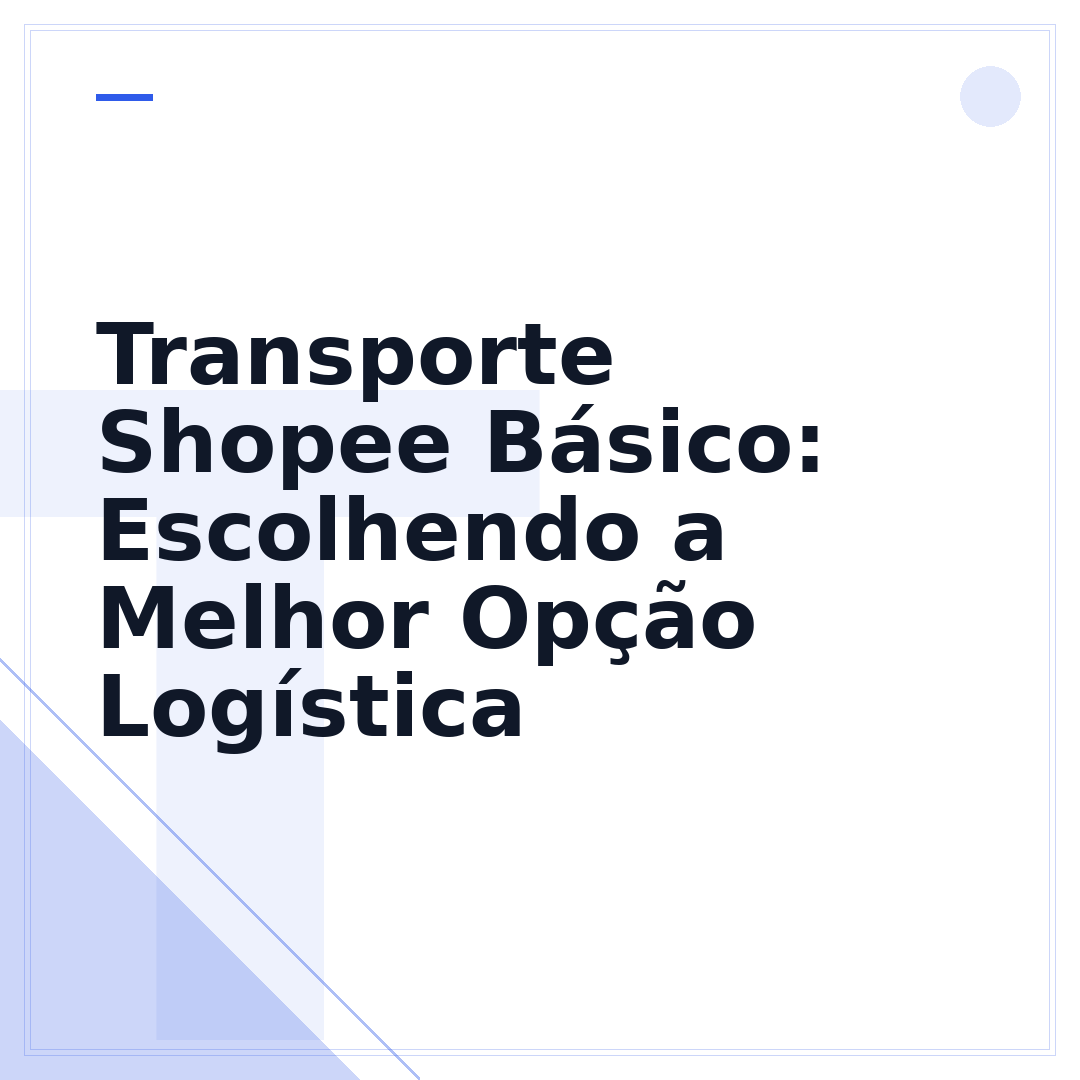 Transporte Shopee Básico: Escolhendo a Melhor Opção Logística
